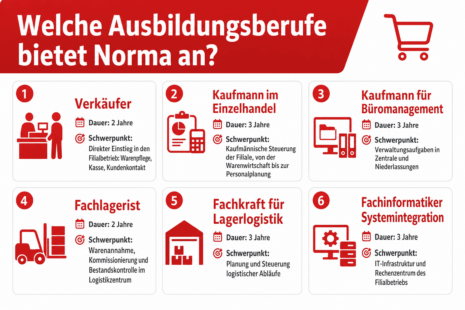 Infografik: Welche Ausbildungsberufe bietet Norma an? Ausbildungsberuf: Verkäufer | Dauer: 2 Jahre | Schwerpunkt: Direkter Einstieg...