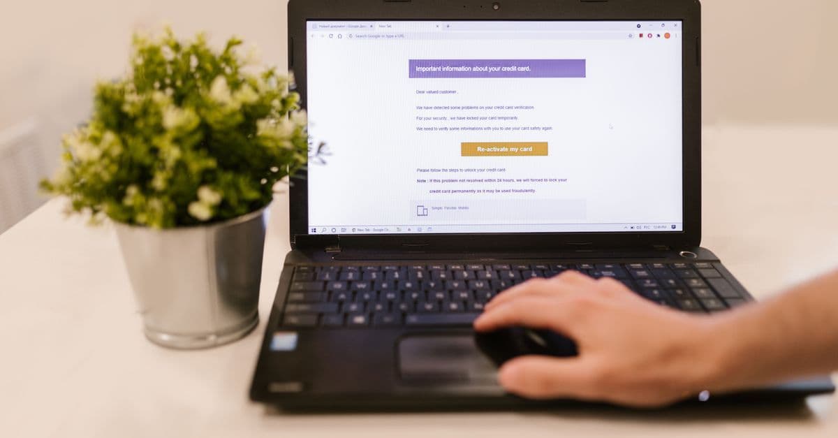 Person using a laptop to read an email indoors beside a potted plant.