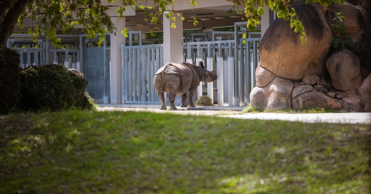 Außenanlage eines kommunalen Zoos, in dem Tierpfleger nach TVöD beschäftigt sind