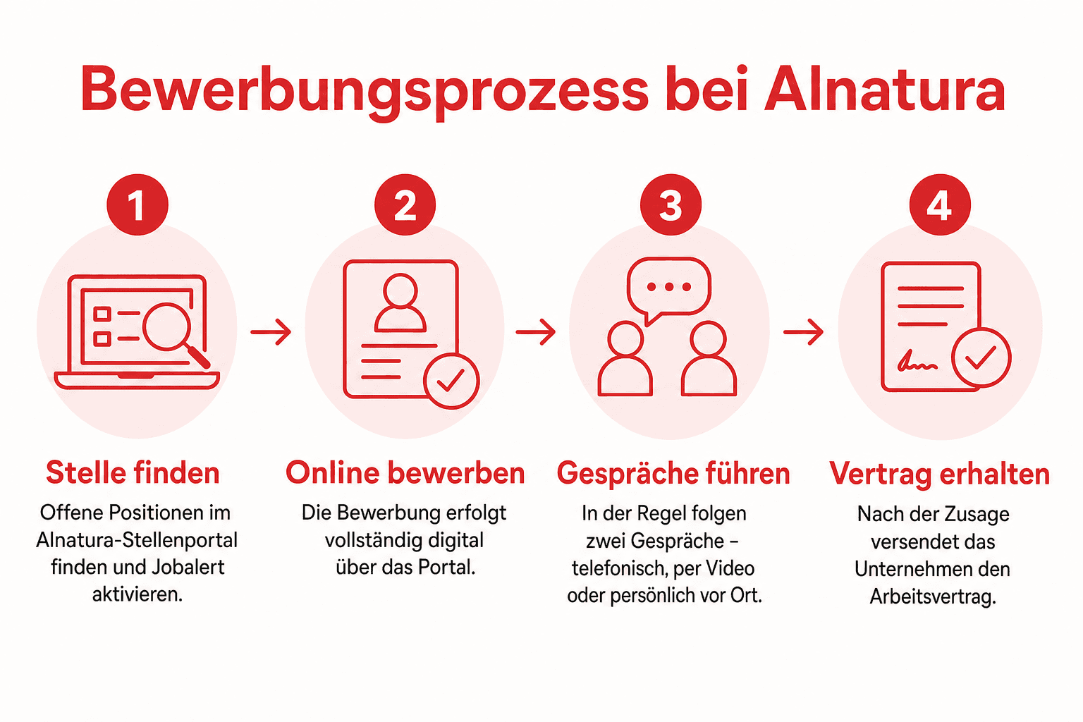 Infografik: Vier Schritte der Bewerbung bei Alnatura – Stelle finden, online bewerben, Gespräche führen, Vertrag erhalten